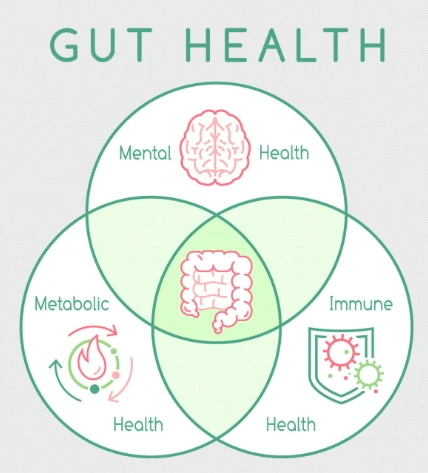 Five reasons why probiotics need to be supplemented more in summer